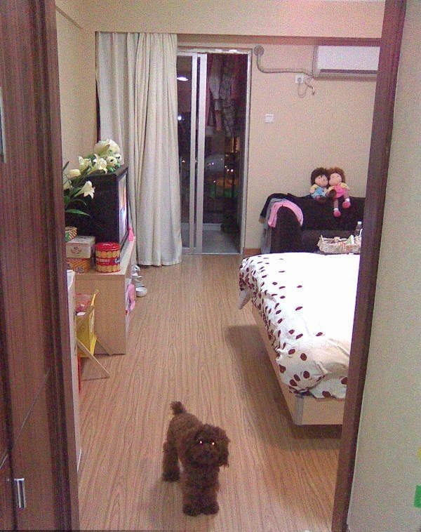 俐俐06  1901698892.jpg