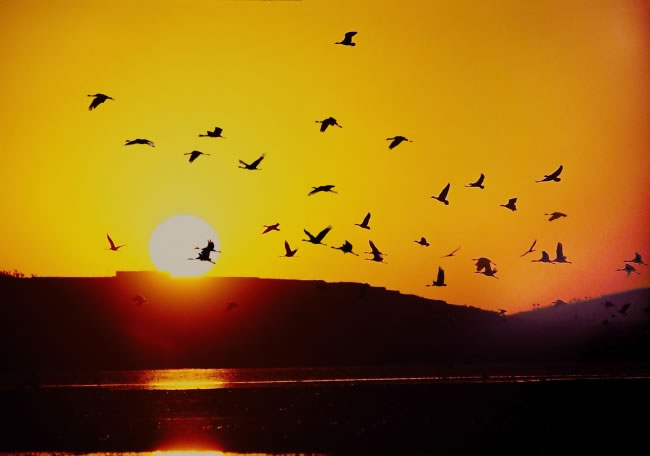 夕阳下的黄昏
