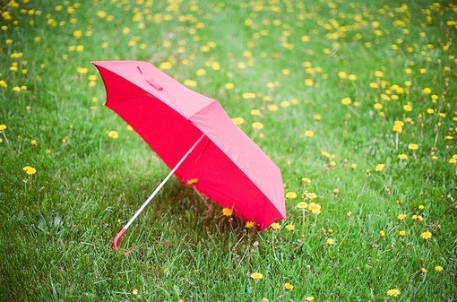 　唯美下雨天图片大全：下雨天我们的故事
