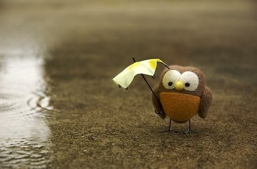 　唯美下雨天图片大全：下雨天我们的故事