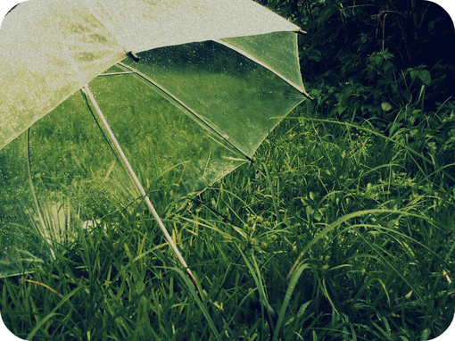 　唯美下雨天图片大全：下雨天我们的故事
