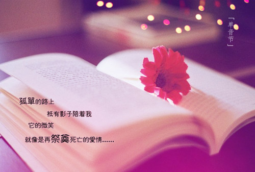 追忆日记本里的秘密