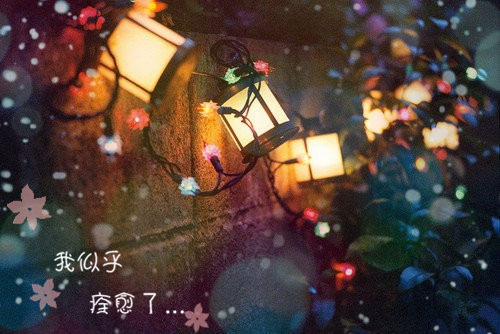 唯美香薰灯图片 生命中的三盏灯