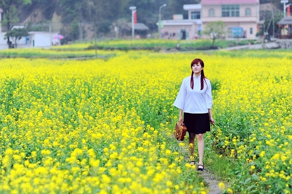 　油菜花：青春是挽不回的水，转眼消失在指尖