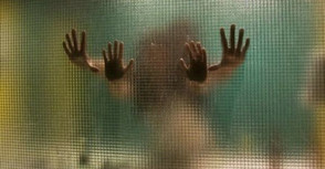 4f374f765a.jpg