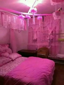 验证松江 美燕动人，劲爆真实照片